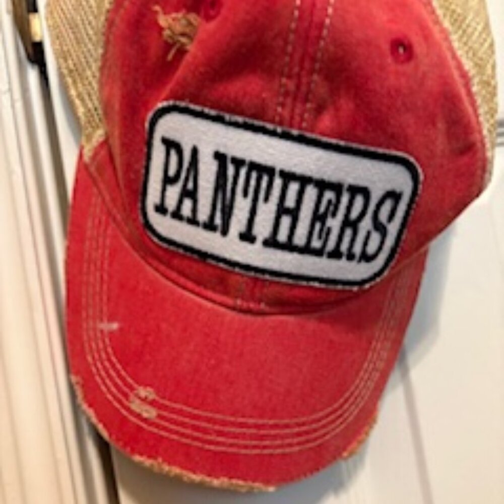 Panthers Trucker Hat